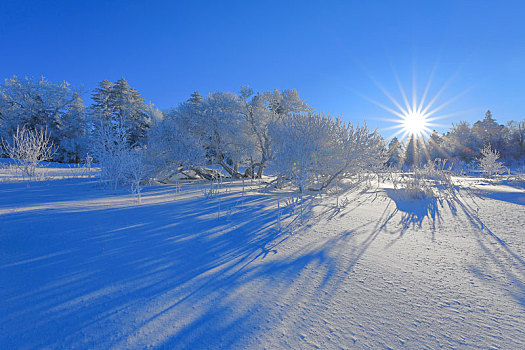 雪岭雾凇风光