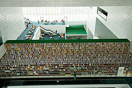 天津文化中心,天津图书馆