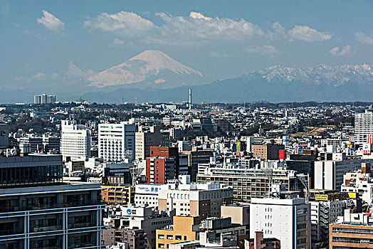 风景,海洋,塔,城市,横滨,富士山,日本