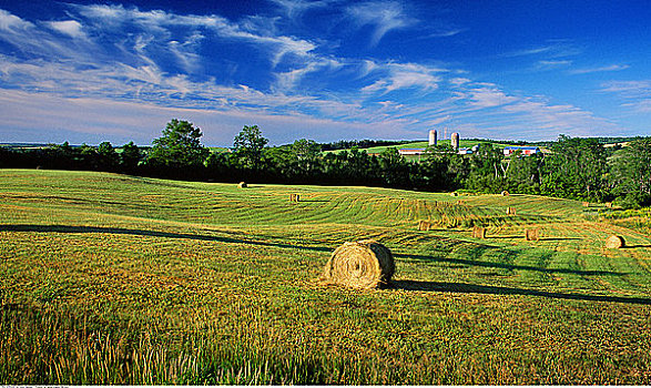 农田,靠近,新斯科舍省,加拿大