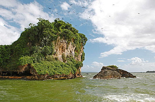 石头,岛屿,军舰鸟,军舰鸟属,空中,小船,水,国家公园,萨玛纳,省,多米尼加共和国,中美洲
