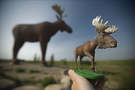 驼鹿,纪念品,雕塑,背景,颚部,萨斯喀彻温,加拿大
