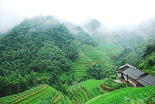 大山里的田园春色