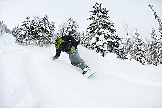 滑雪板玩家,跳跃,自由,乘,粉状雪,冬天