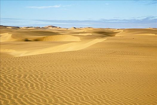 沙丘,纳米布沙漠,纳米比亚,非洲