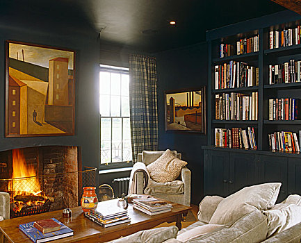 墙壁,天花板,图书馆,涂绘,海牙,蓝色,球,花格布,帘,优雅,灰色,天鹅绒,沙发,扶手椅