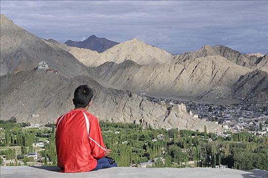 拉达克地区,男孩,看,城市,绿洲,寺院,北印度,喜马拉雅山,亚洲