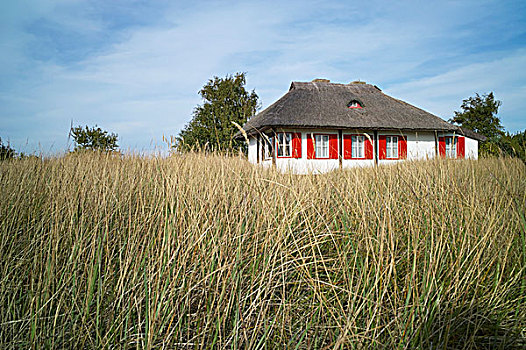茅草屋顶,屋顶,房子,红色,百叶窗,靠近