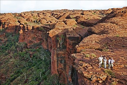 澳大利亚,北领地州,远足者,边缘,悬崖,红岩,国王峡谷,圆顶,反射,差别,风化,石头