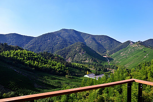 湖州妙西镇暮霞山茶山