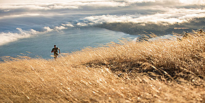 男人,跑,海洋,背景,加利福尼亚,美国