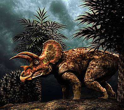食草动物,恐龙,白垩纪,时期