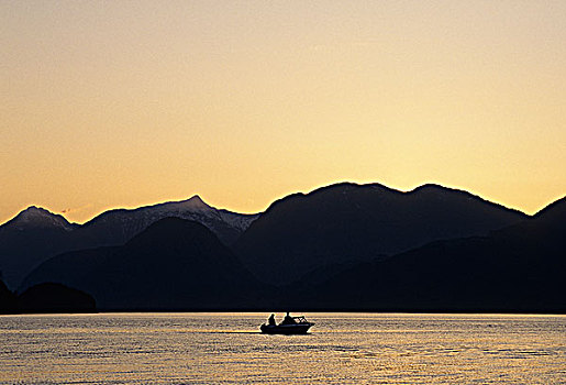 三文鱼,渔船,日落,不列颠哥伦比亚省,加拿大