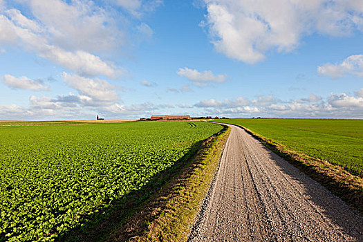 乡间小路,日德兰半岛,丹麦