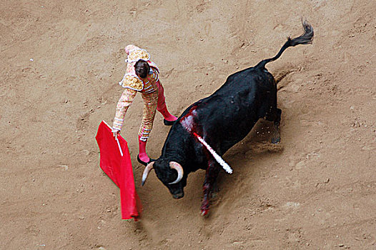 传统,景象,斗牛,斗牛场,哥伦比亚,二月,2007年,城市,品种,节日