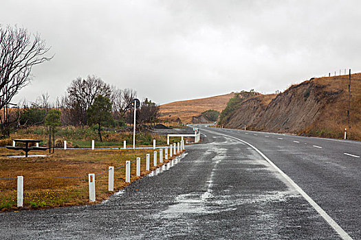 新西兰路