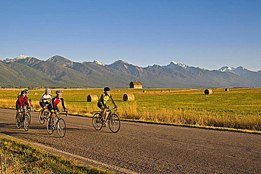 道路,骑自行车,乘,偏僻,山谷,蒙大拿