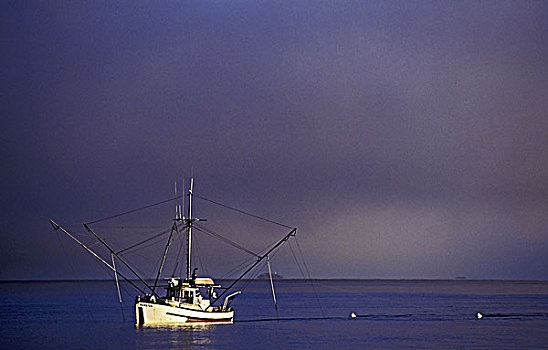 渔船,中心,海岸,不列颠哥伦比亚省,加拿大