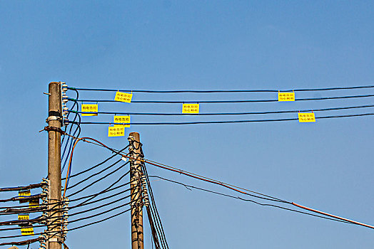 电线杆电线标签