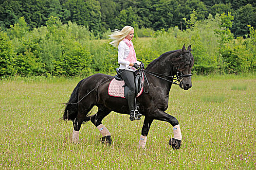 女青年,19岁,骑马,弗里斯兰奶牛,马,草地,巴伐利亚,德国,欧洲