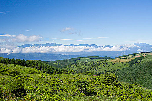 高原