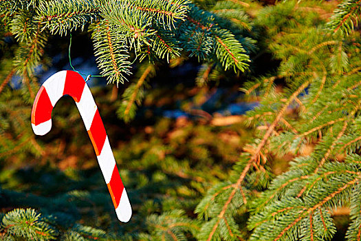 木质,拐棍糖,悬挂,装饰,圣诞树