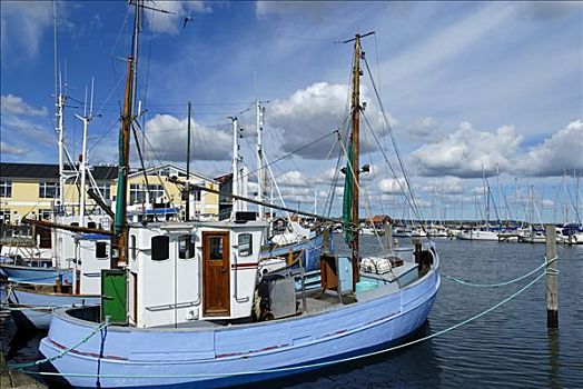 渔船,港口,日德兰半岛,丹麦,欧洲