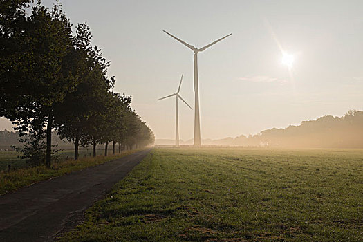 风轮机,晨雾,北莱茵威斯特伐利亚,德国
