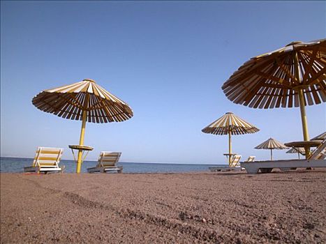 海滩,遮阳伞,西奈,埃及