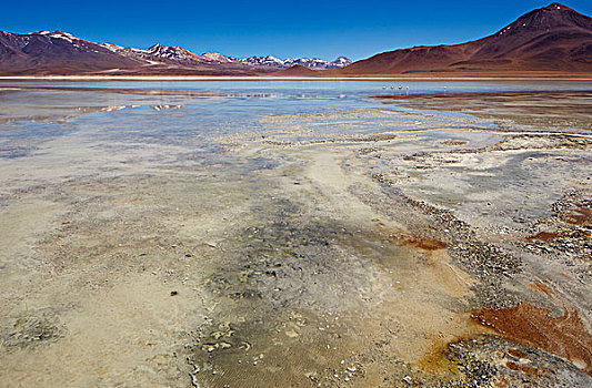 泻湖,高原,波托西地区,玻利维亚,南美