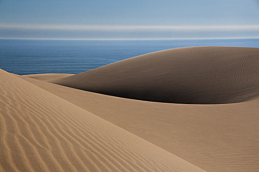 沙丘,靠近,大西洋,海岸线,纳米比诺克陆夫国家公园,纳米比亚