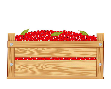 盒子,红莓
