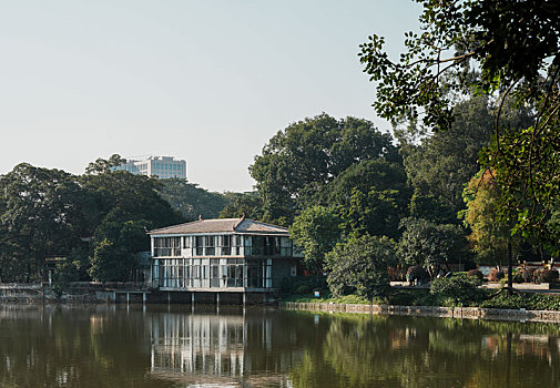 羊城广州天河公园初冬美景