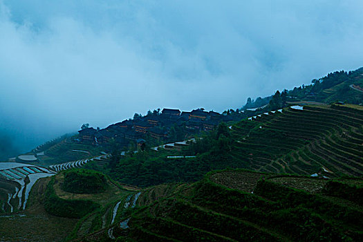 梯田美景