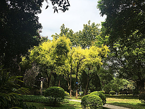 广州黄花岗