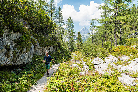 远足,徒步旅行,瓦茨曼山,背影,国家公园,贝希特斯加登地区,上巴伐利亚,巴伐利亚,德国,欧洲