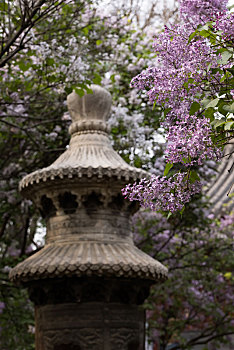 北京法源寺