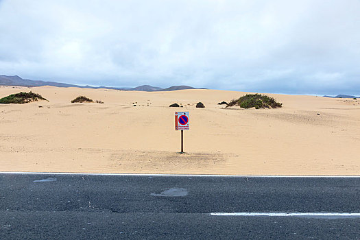 沙漠公路,富埃特文图拉岛,停放,签到,沙丘