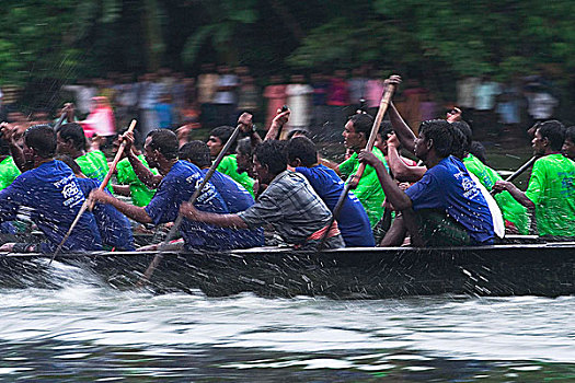 赛船,孟加拉,八月,2008年,流行,娱乐,活动,下雨,季节,重要