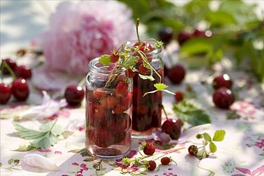 樱桃,野草莓,利口酒