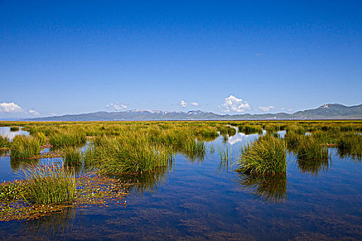 四川阿坝诺尔盖花湖