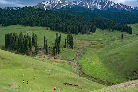 新疆奇台一万泉风景区