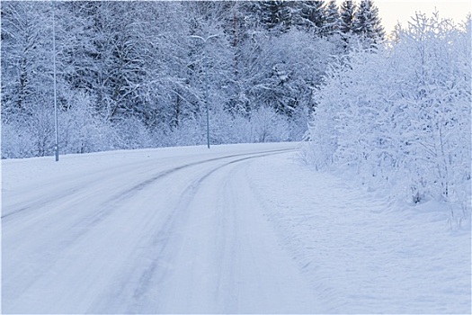 冬天,晚间,树林,道路,遮盖,雪