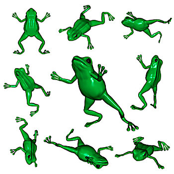 青蛙,不同,角度,插画