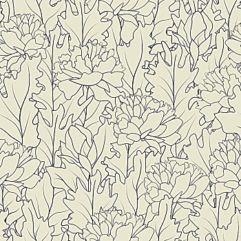 花,輪廓,無縫