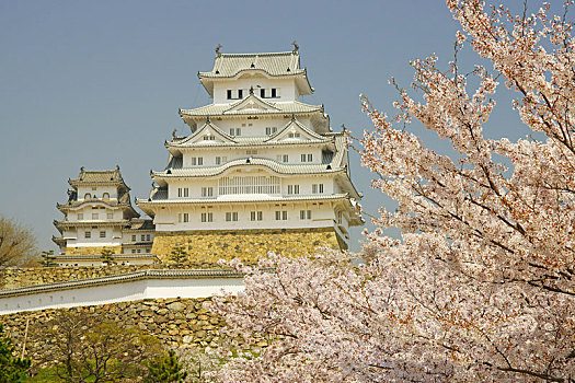 姬路城堡,春天,兵库,日本