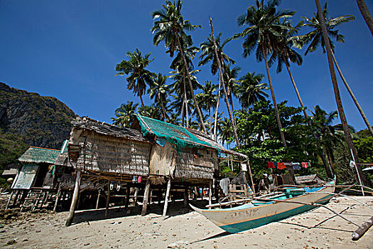 房子,海滩,巴拉望岛,菲律宾