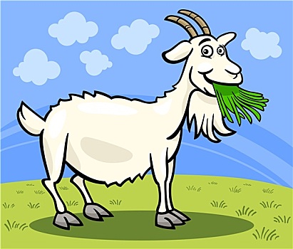 山羊,家畜,卡通,插画
