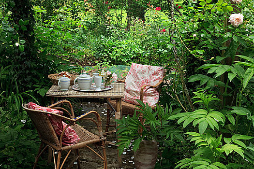 早餐桌,花园
