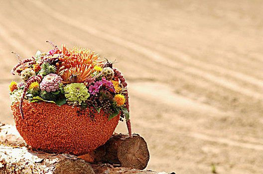 秋天,插花,聚苯乙烯,碗,遮盖,扁豆